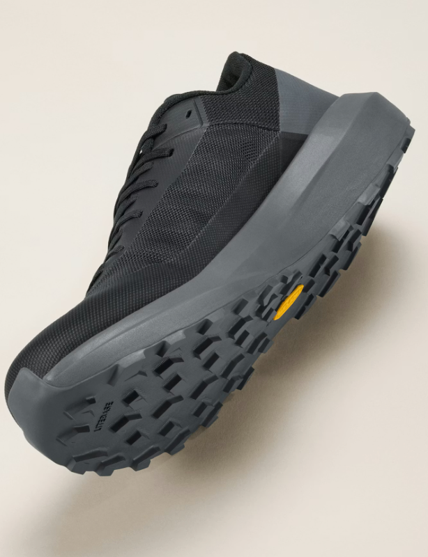 Women's Arc'teryx Norvan LD 4