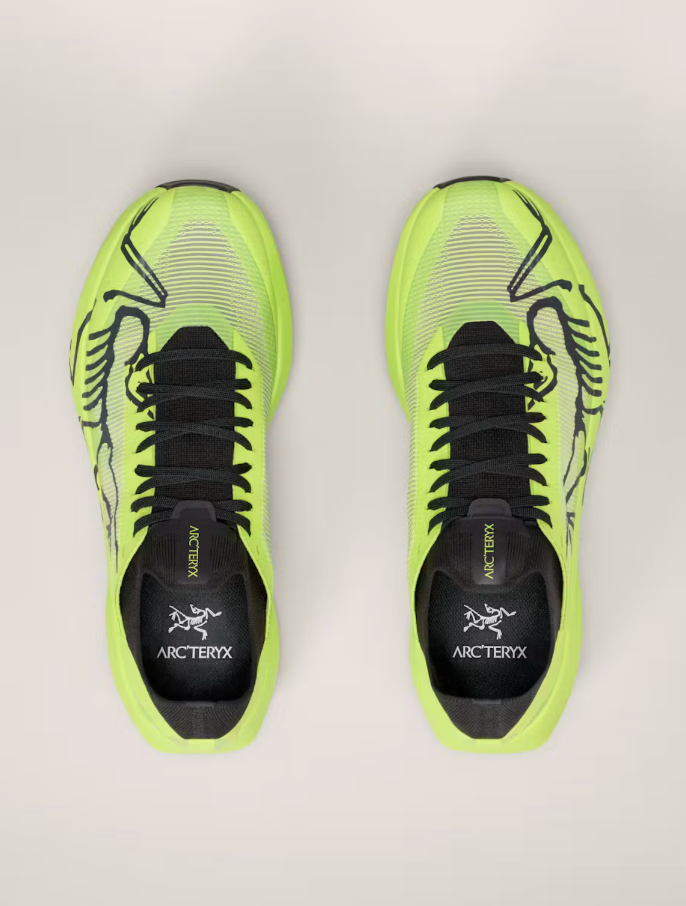 Men's Arc'teryx Sylan 2