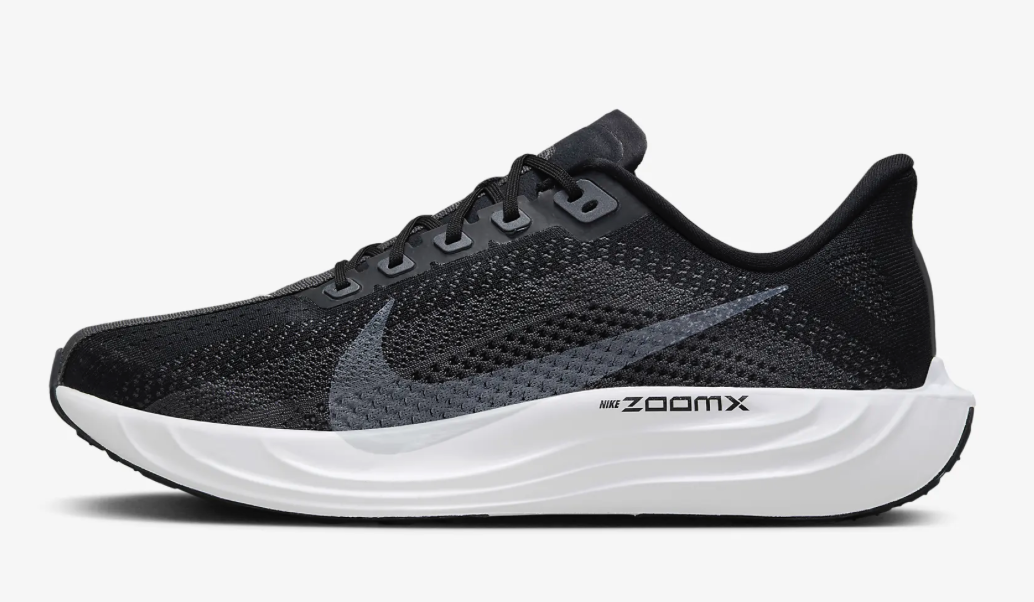 Men's Nike Pegasus Plus