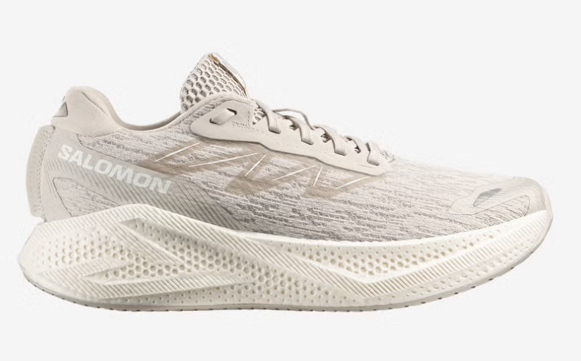 Men's Salomon Aero Glide 4